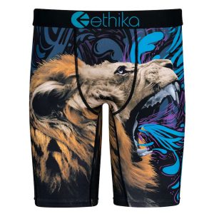 Ethika Boys Painted Lion