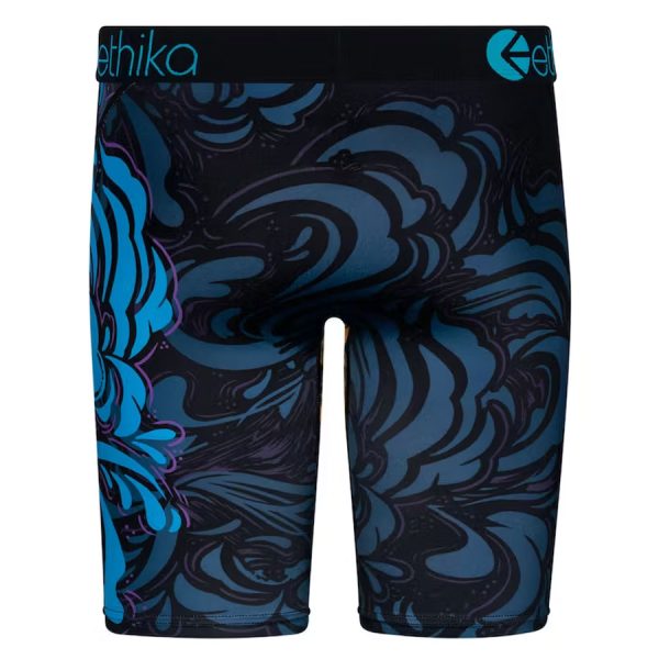 Ethika Mens Underwear Painted Lion