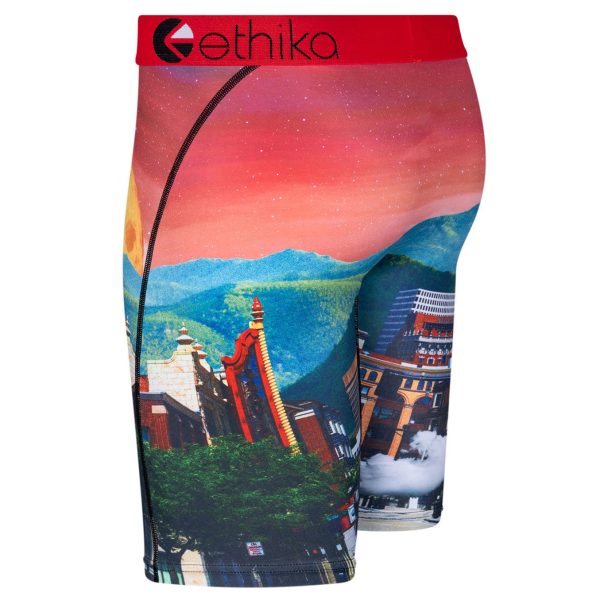 Ethika Boys Staple Underwear - Astro Zoo