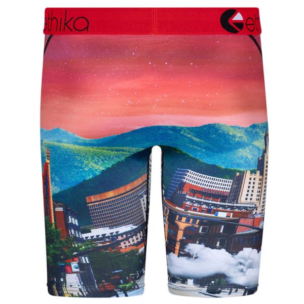 Ethika Boys Staple Underwear - Astro Zoo