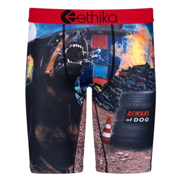 Ethika Underwear BWARE