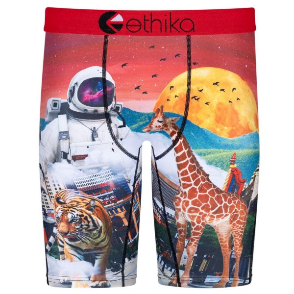Men's Ethika Underwear - ASTRO ZOO