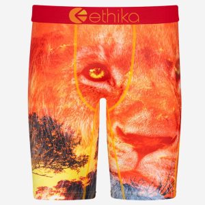 Ethika Underwear Boys Staple Fit Boxer Brief - KOTJ