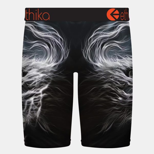 Ethika Boys Staple Underwear - LION STRIKE